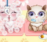 My Pet Shop